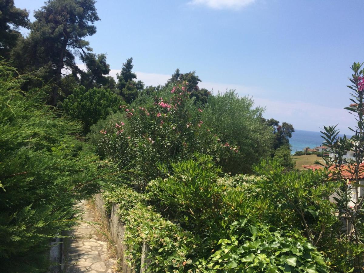 Villa Elani Kassandria Exterior foto
